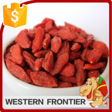 high quality organic bulk dried goji berries